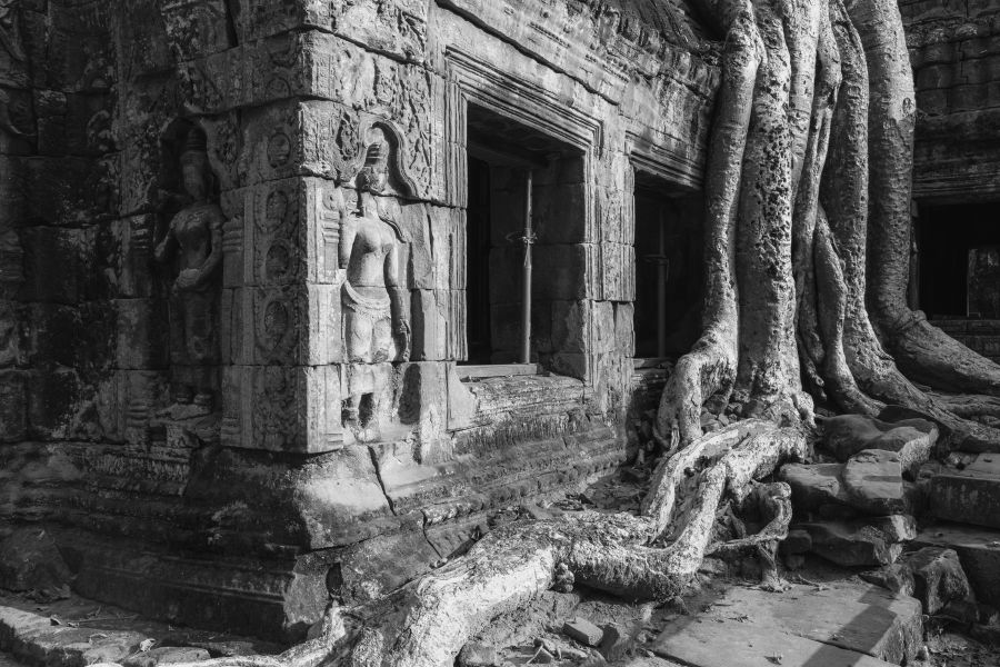 ta prohm-47.jpg